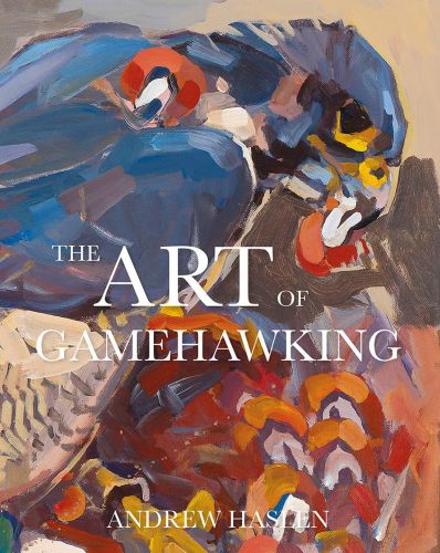 The Art of Gamehawking