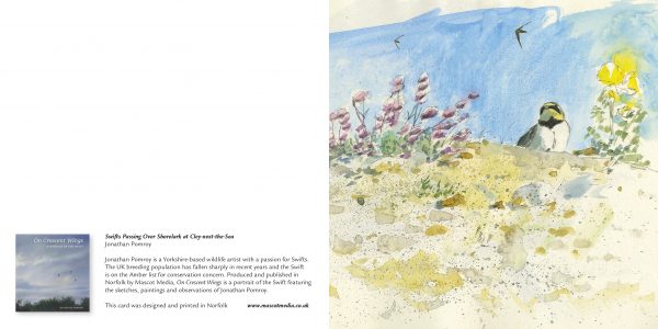 Jonathan Pomroy - Image 2