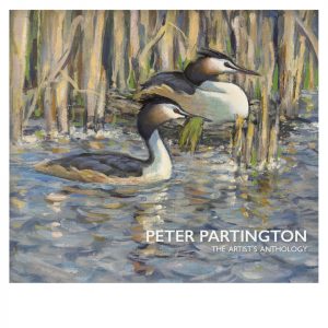 Peter Partington – The Artist's Anthology